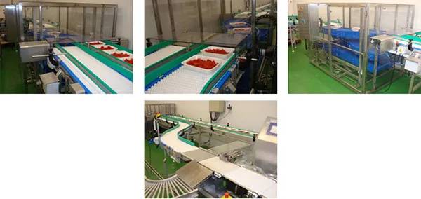 Merging Conveyor Systems