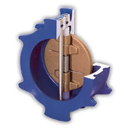 Dual Disc® Check Valves