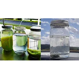 Wastewater Management Systems
