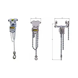  Anti-Corrosion Combined Chain Block and Trolleys